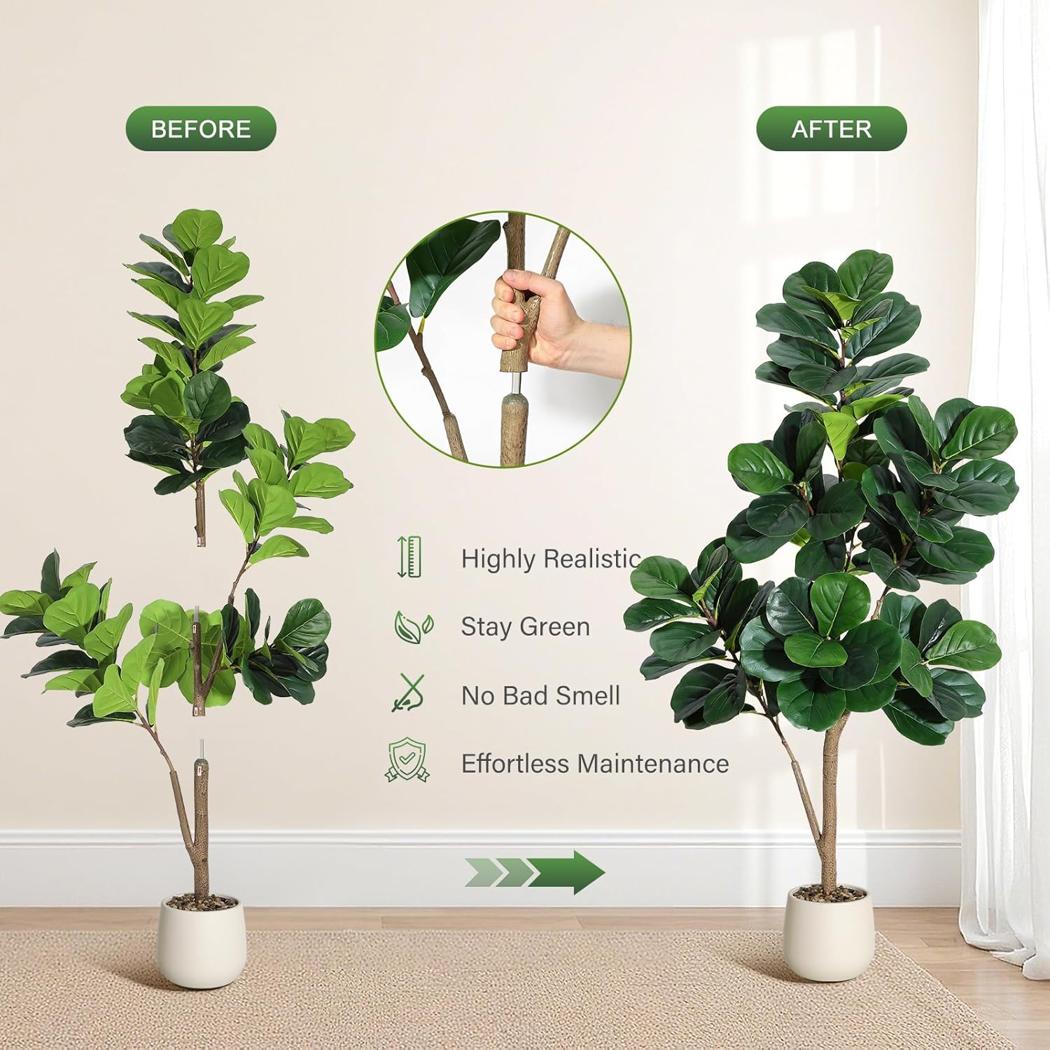 4-7 FT Fiddle Leaf Fig Tree Ar - Fiddle Leaf Fig recension och pris