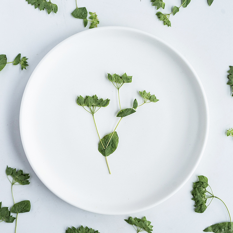 60Pcs Rabbit Ear Grass with Br - Plant Parent Sticker recension och pris