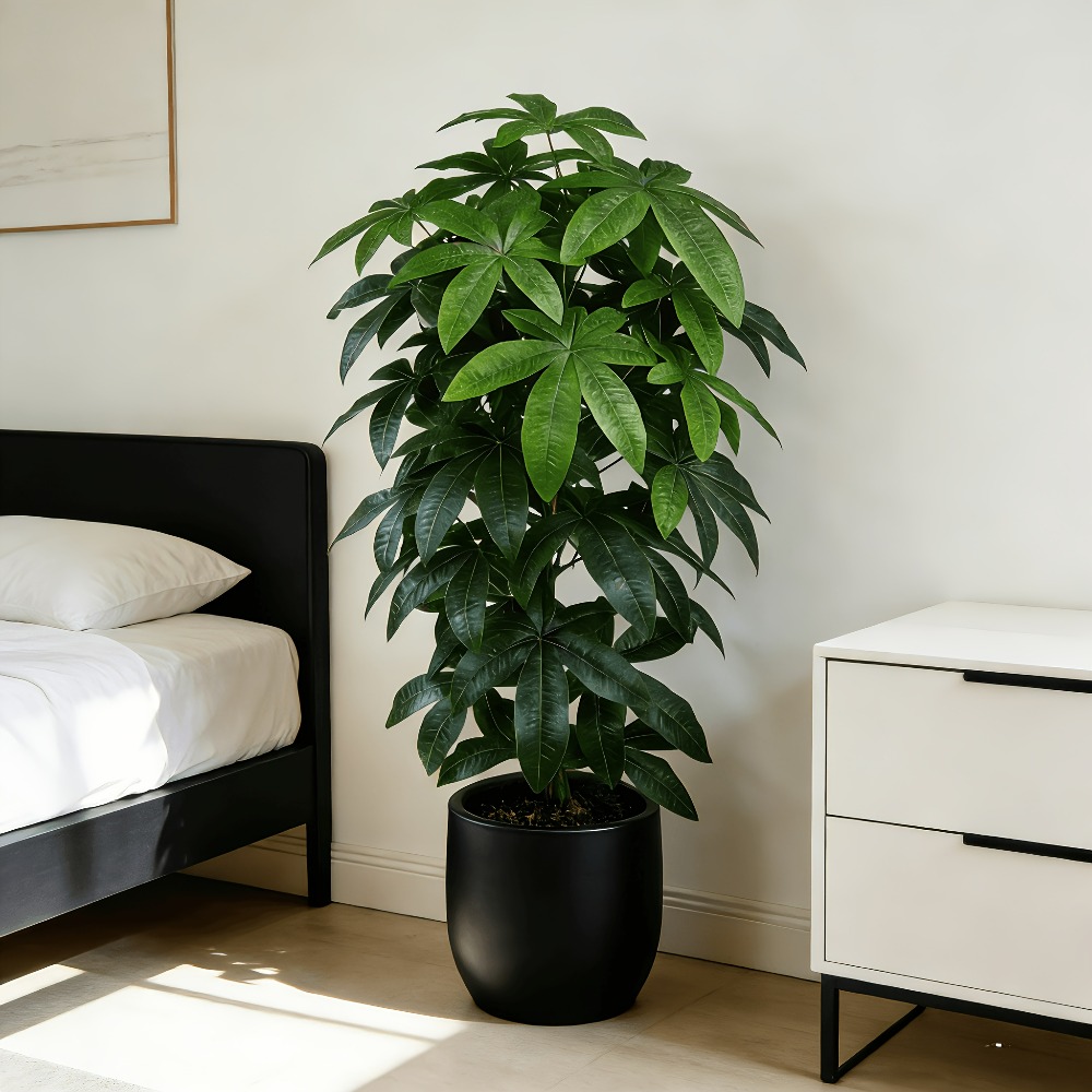 An Artificial Money Tree Pachi - Fiddle Leaf Fig recension och pris